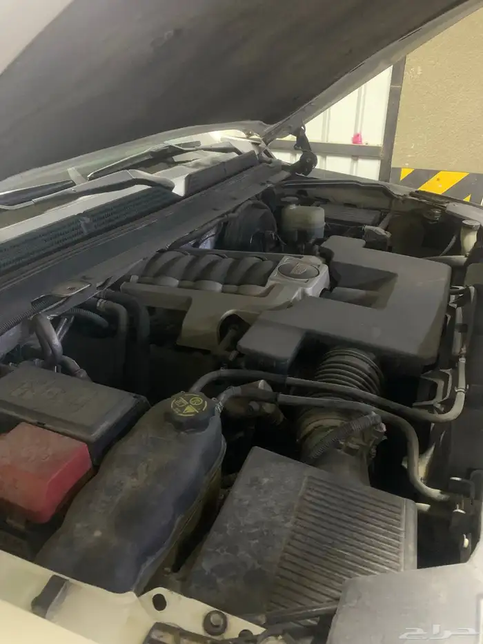 كاديلاك اسكاليد لؤلؤي 2015 17