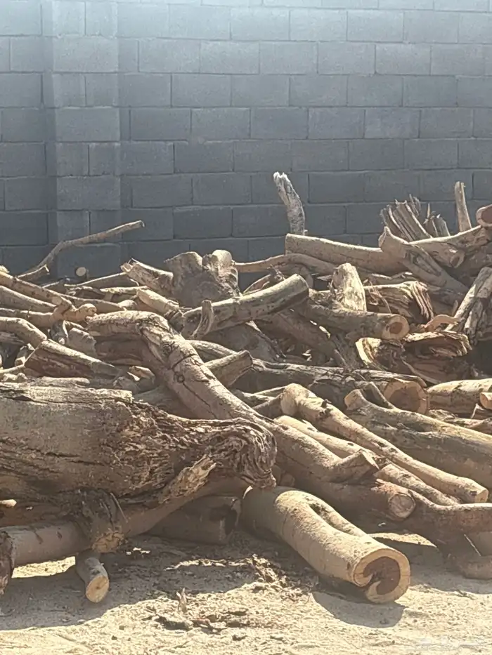 حطب مستورد 0