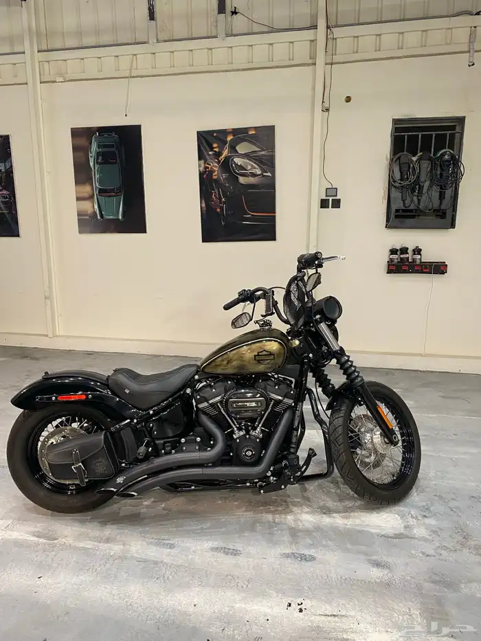 هارلي ستريت بوب 2018 harley steet bob 3