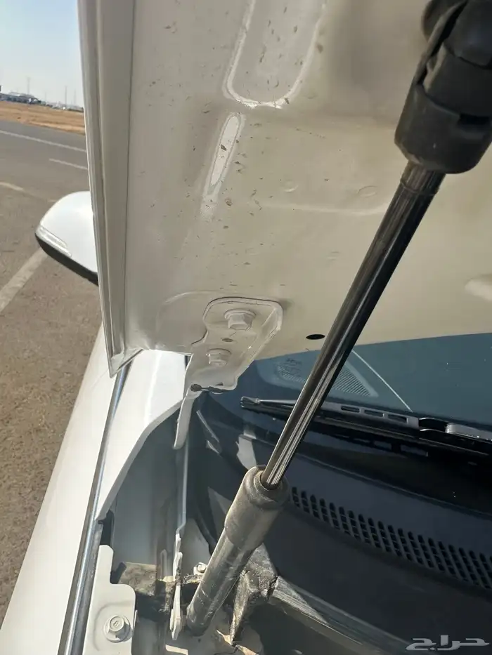 سوناتا 2018 12