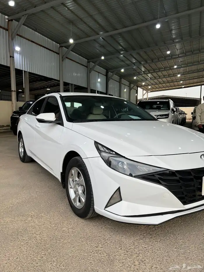 النتراء 2023 1