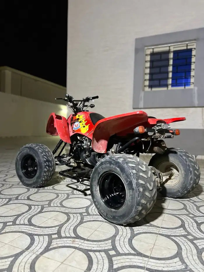 دباب تايواني مقاس 110 موديل 2018 4