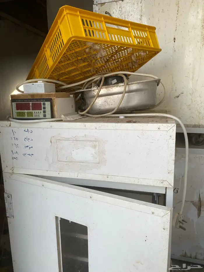 فقاسة أتوماتيك 1