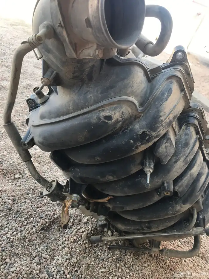 ثلاجة سكويا للبيع مستعجل 0