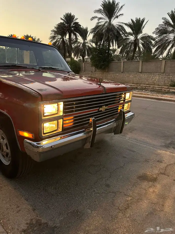 لأهل الصنف ونيت شفر مخزن 454 اساس 10