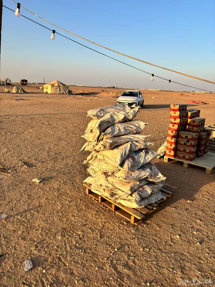 حطب وفحم ويوجد عندنا أنواع الحطب والفحم الموقع طريق الصمان 3