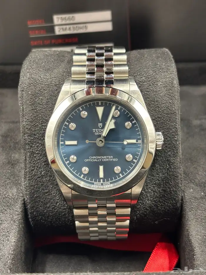 ساعة تيودور (تيدور) 0