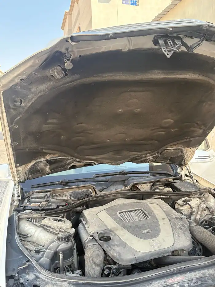 مرسدس جفالي 19