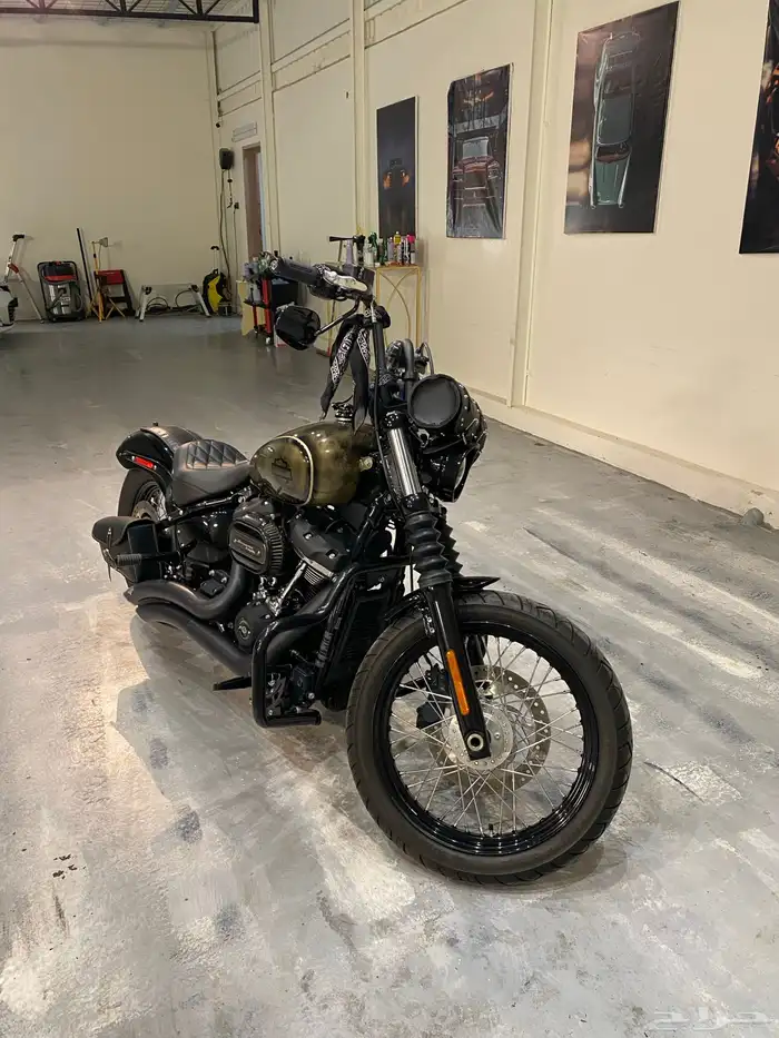 هارلي ستريت بوب 2018 harley steet bob 0