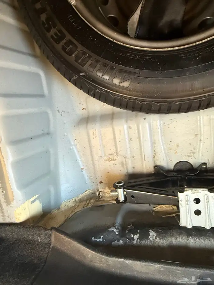 للبيع صني 2020 18