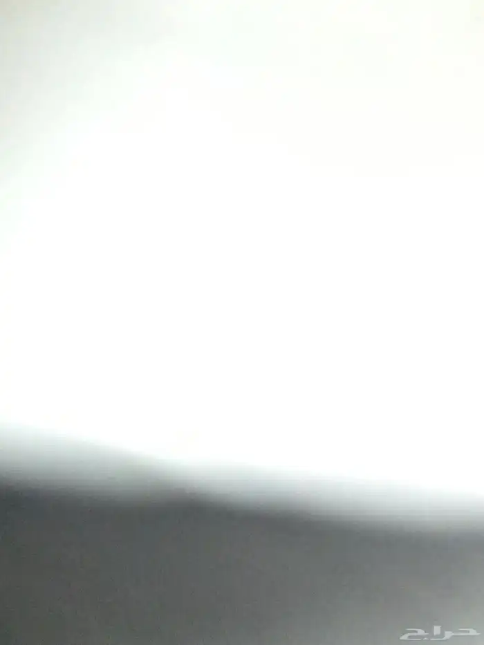 دجاجه صحه 100 الديوكه صحه100 6