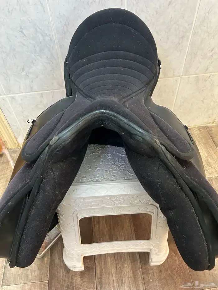 سرج ستيتوس 2