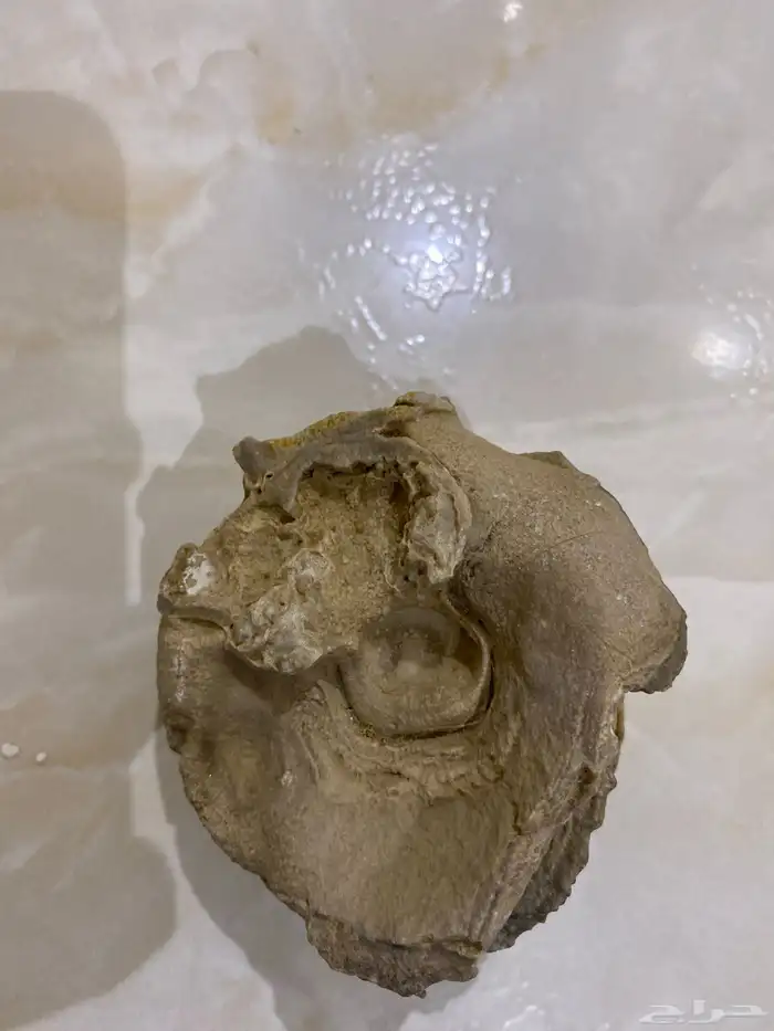 احجار كريمه 1