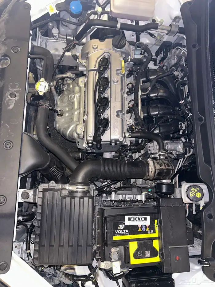 شانجان السفن 2022 فل كامل 13