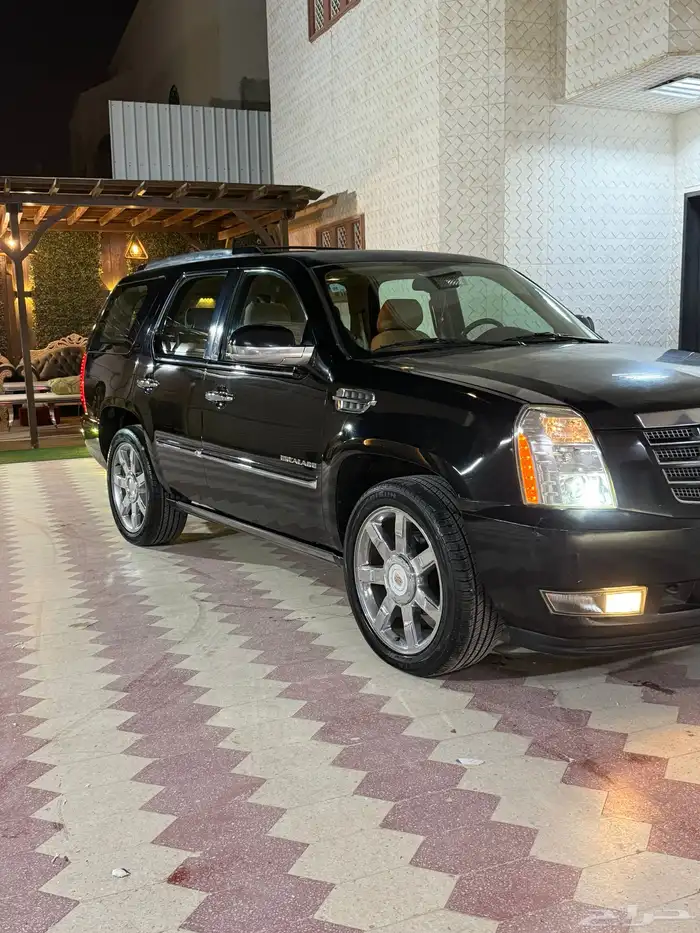 للبيع كدلك اسكاليد 2010 فل كامل 3