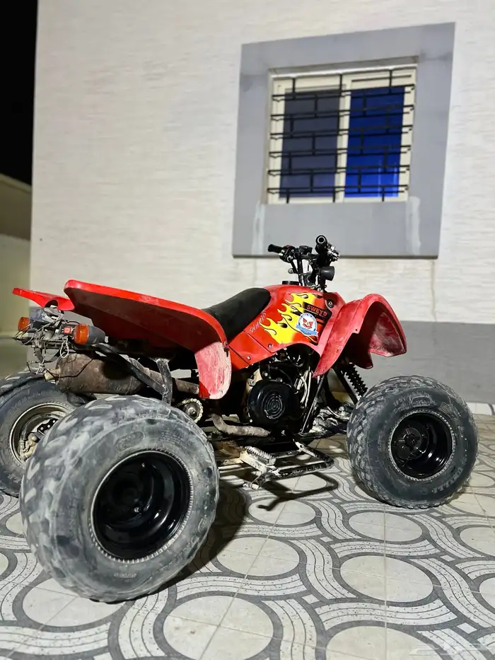 دباب تايواني مقاس 110 موديل 2018 2