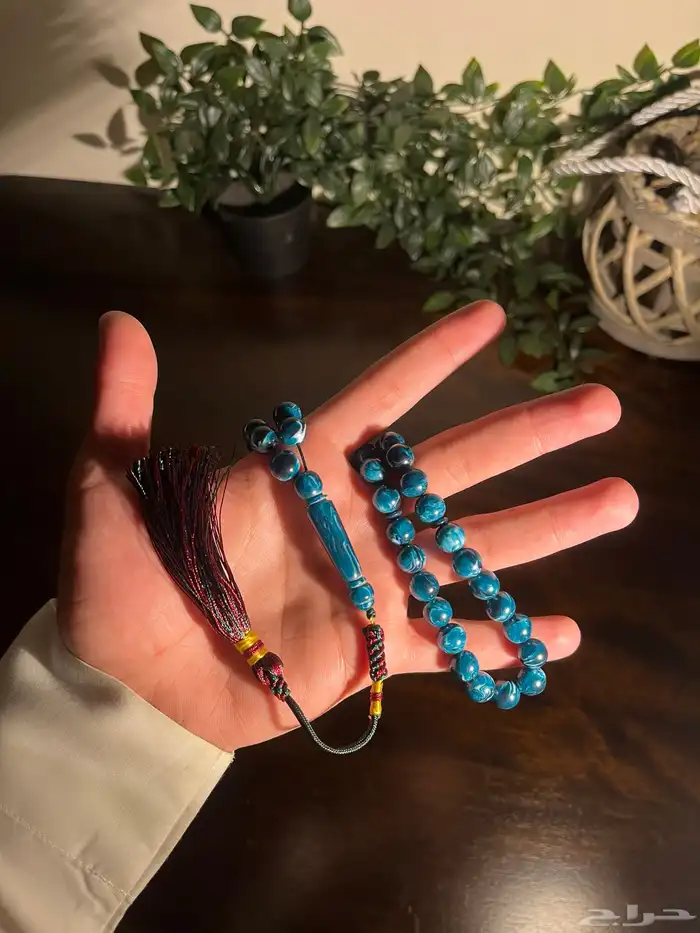 سبح بكلايت 6