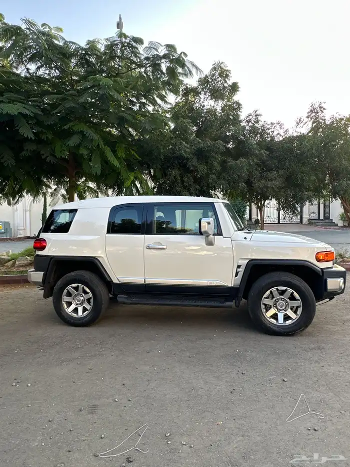 اف جي رقم 2 2022 1