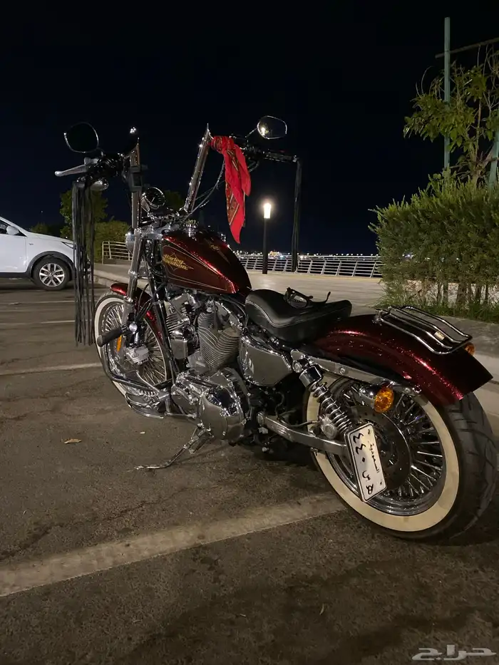 دراجه ناريه من نوع هارلي سبوستر كاستم موديل 2012 5