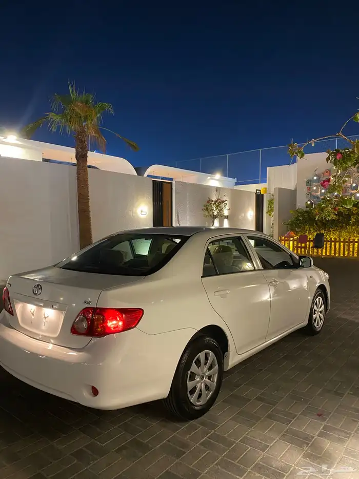 كورلاء 2010 10