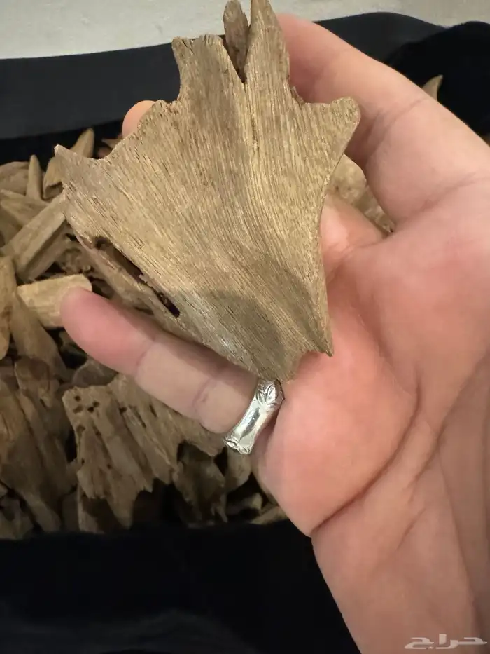 عود مروكي طبيعي تربل سوبر الجزاله في صوره طبيعي 100   100 2