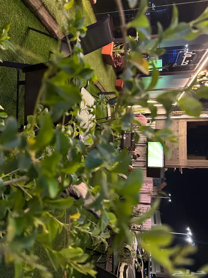 مقهى وكفي ناي سين بكامل تجهيزاته لتقبل 11