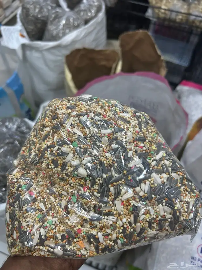 اكل كروان وبادجي 3