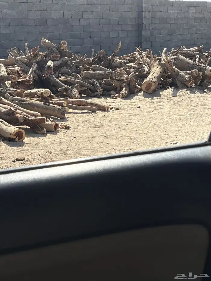 حطب مستورد 1