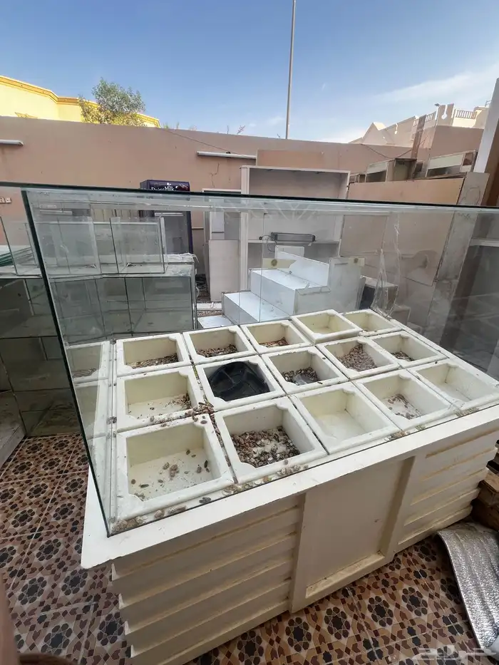 محل كامل الي بصوره شوف عيونك 4