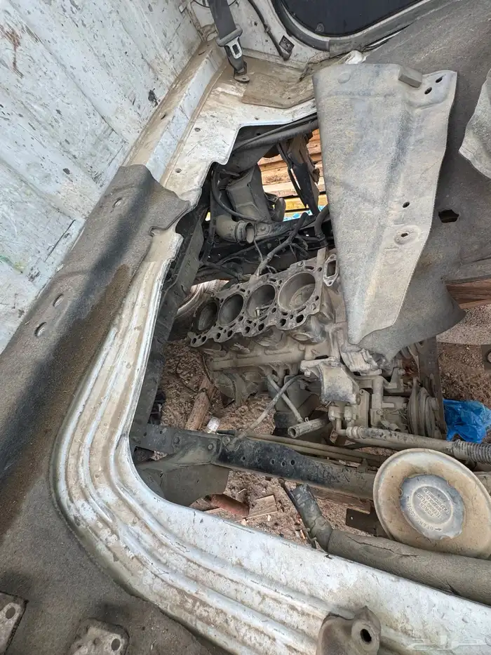 دينا كيا تشليح 1