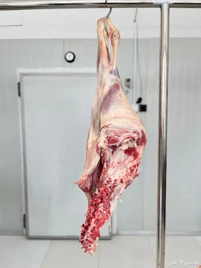 ملحمة صالحة لأجود أنواع اللحوم. اعلي جودة مقابل   افضل سعر 5