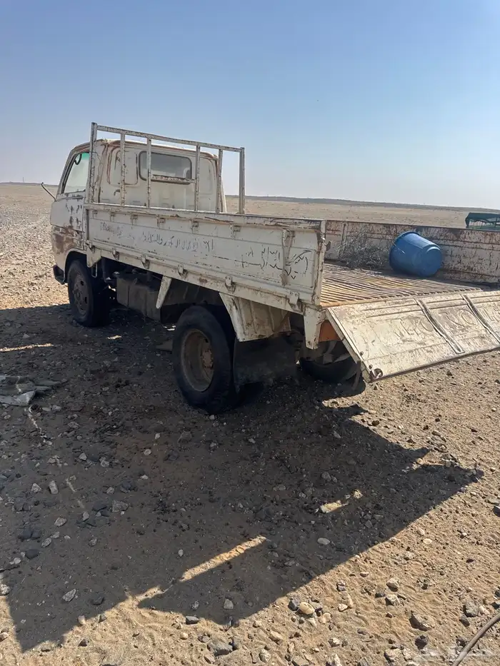 دينا تشليح امورها وسط مسقطه للبيع 1