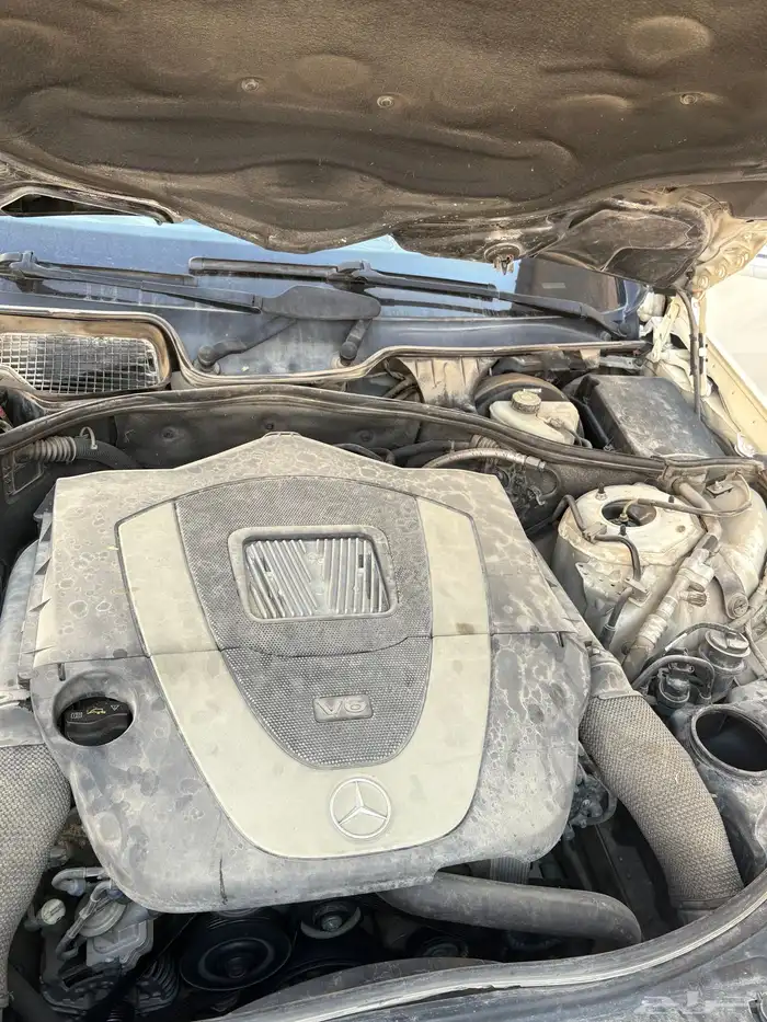 مرسدس جفالي 18