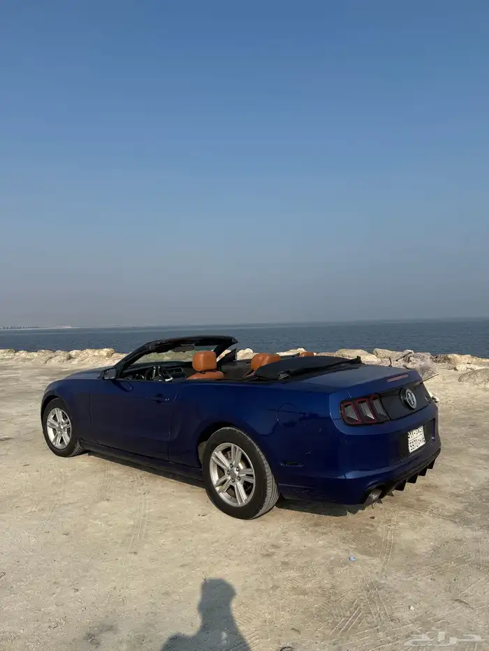 موستنق كشف 4