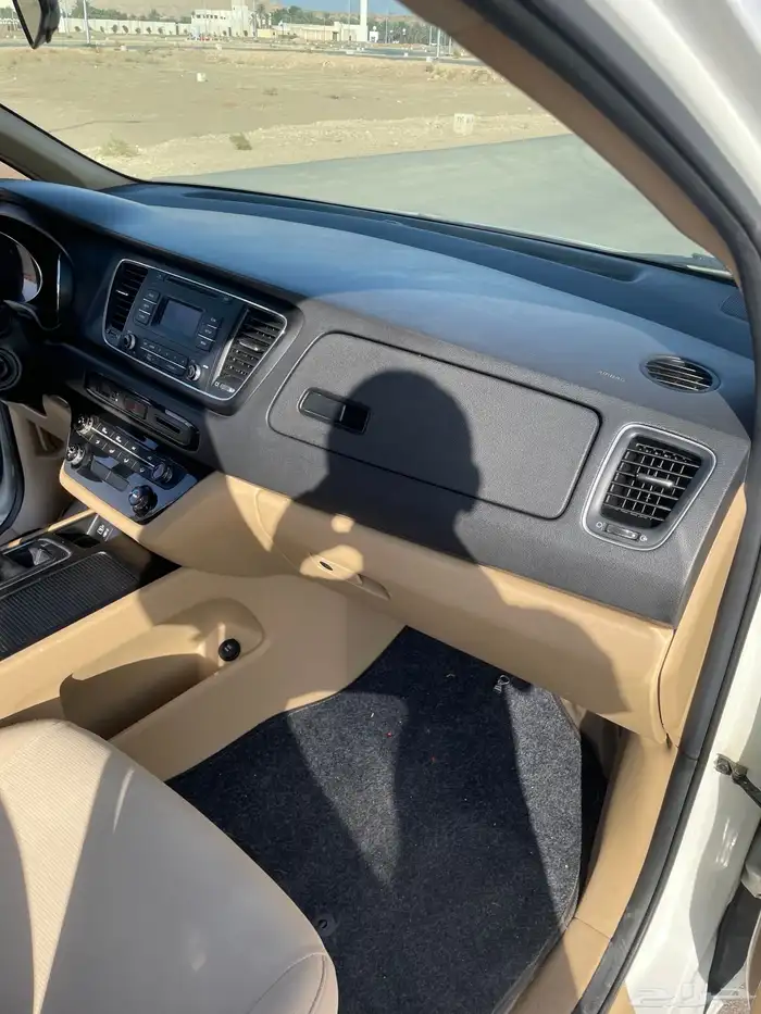 كرنفال 2016 20