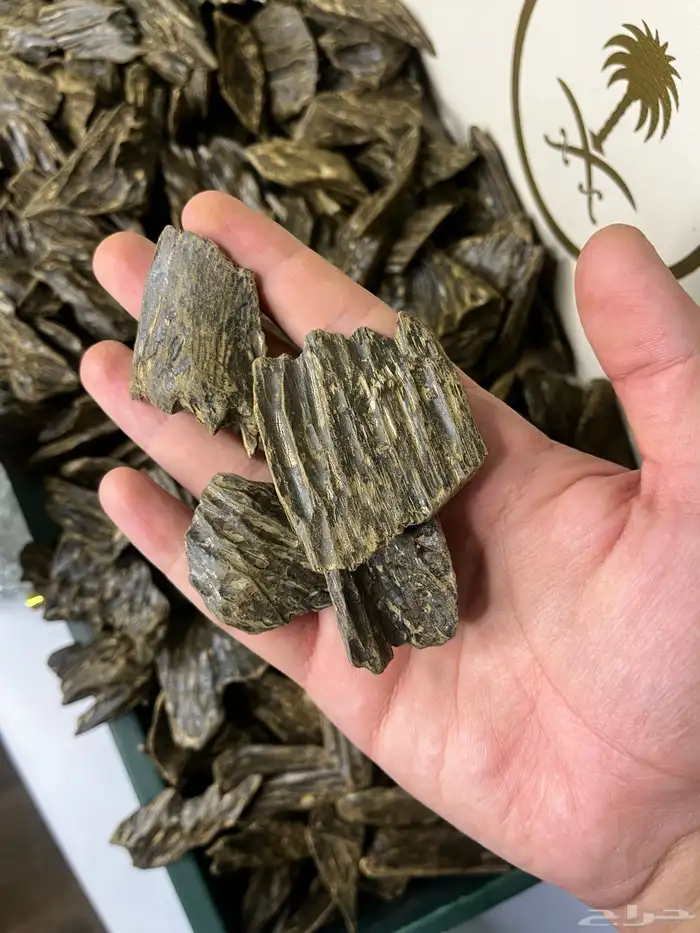 العود الازرق 0