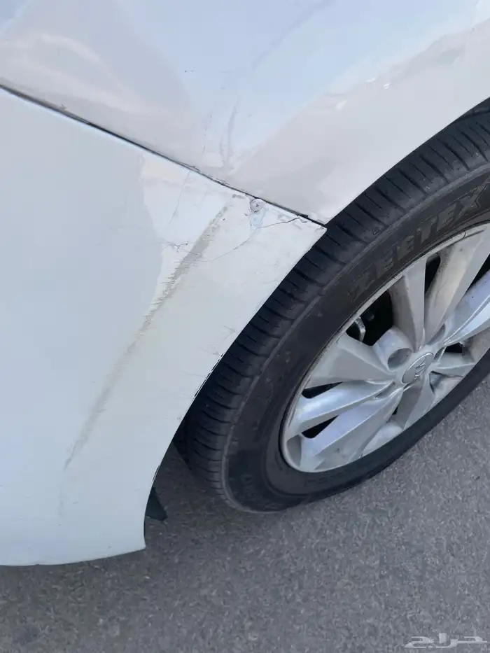 كرنفال 2016 11