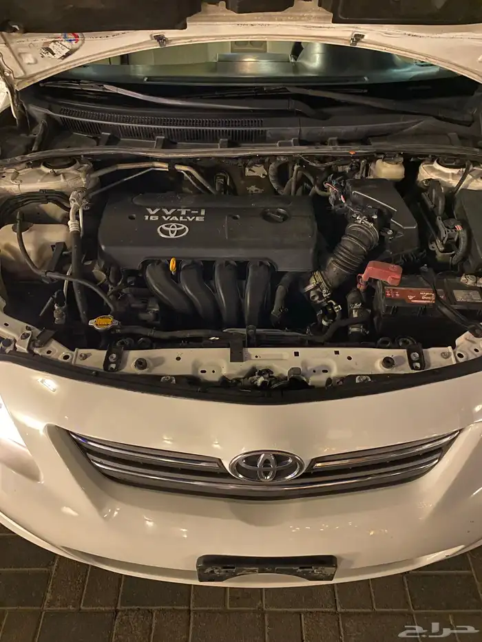 كورلاء 2010 12