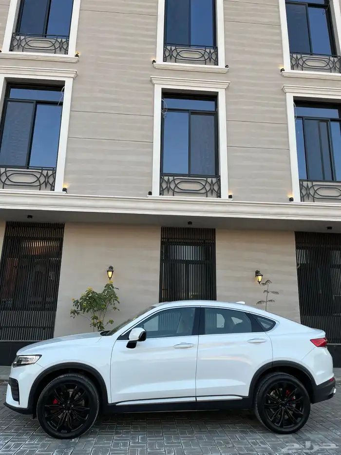 جيلي توجيلا وكاله 10