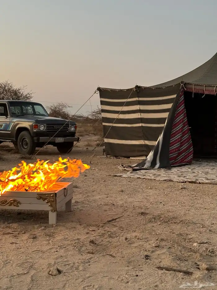 للبيع بيت شعر 0