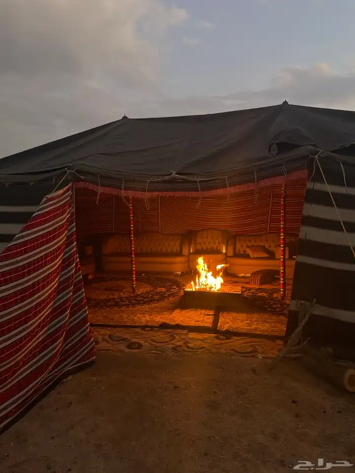 للبيع بيت شعر 1