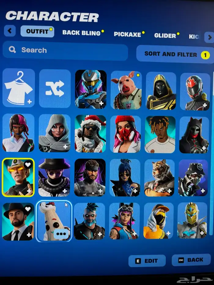 حساب فورت نايت 227 سكن 0