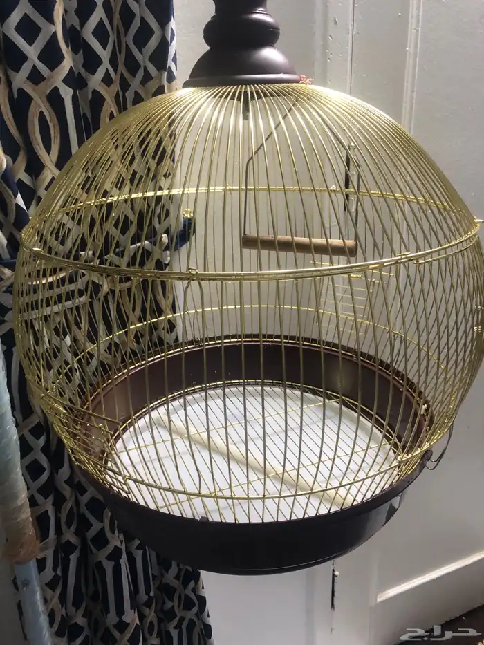 قفص عصافير  أربعة حبة 1