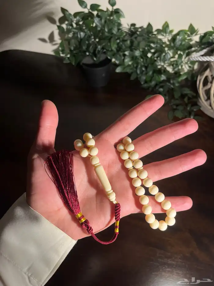 سبح كلايت جمله 0