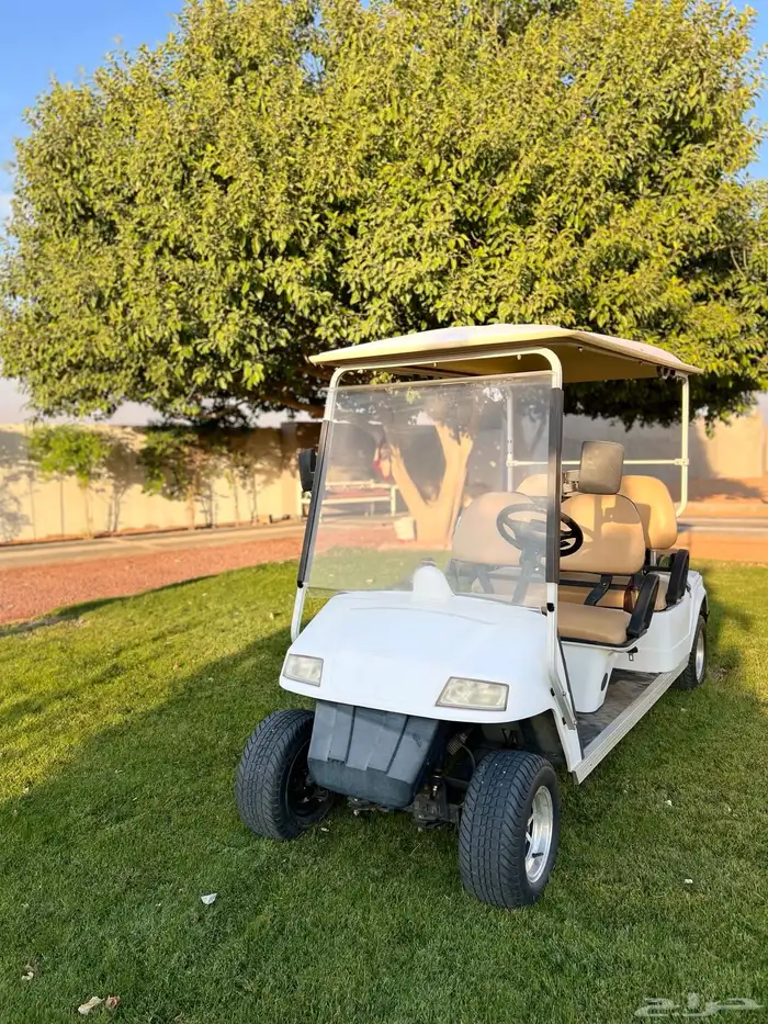 قولف كار 2019 عربة كهربائية 4 اشخاص 0