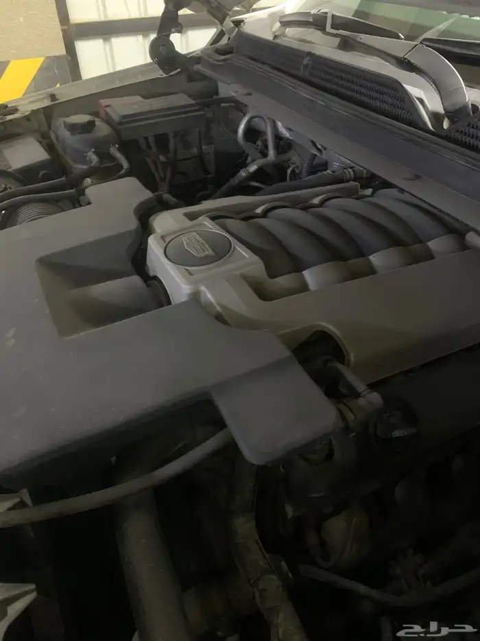 كاديلاك اسكاليد لؤلؤي 2015 16