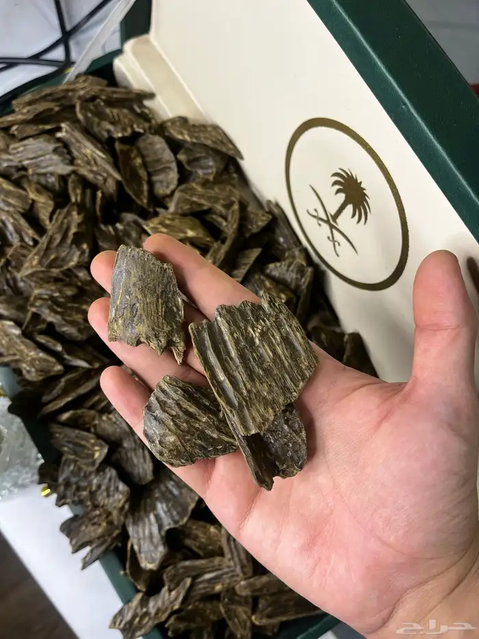 العود الازرق 1