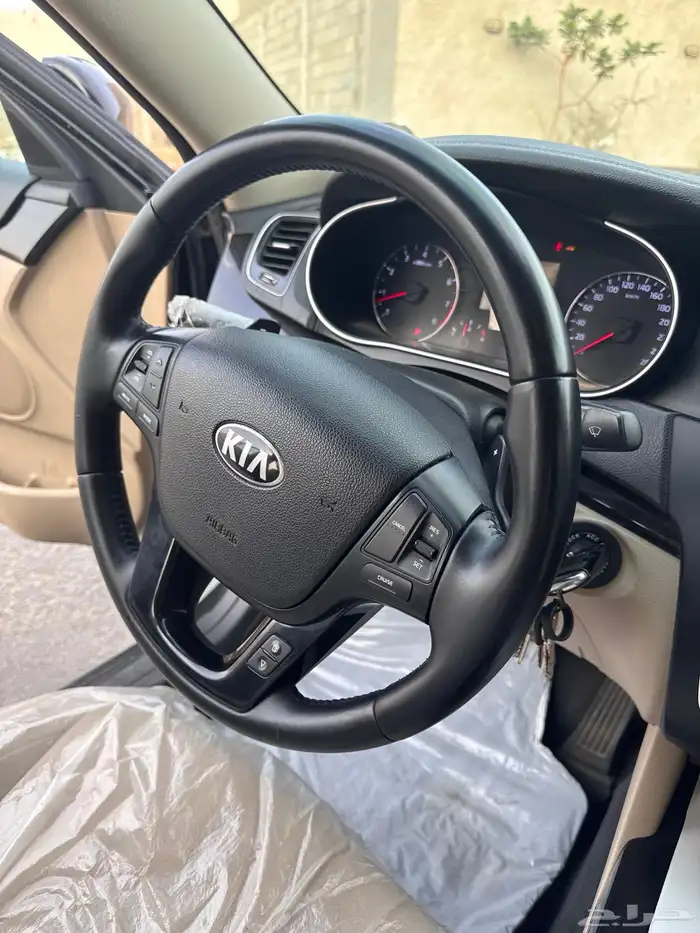 كادينزا 2015 16