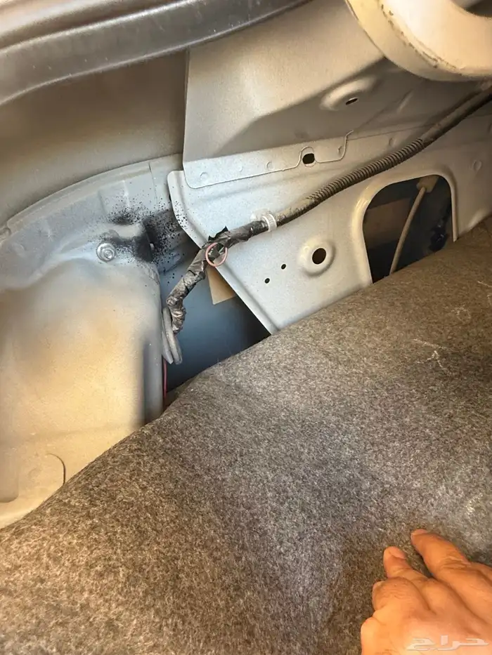 للبيع صني 2020 21