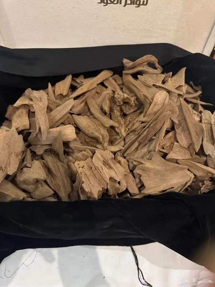 عود مروكي طبيعي تربل سوبر الجزاله في صوره طبيعي 100   100 0